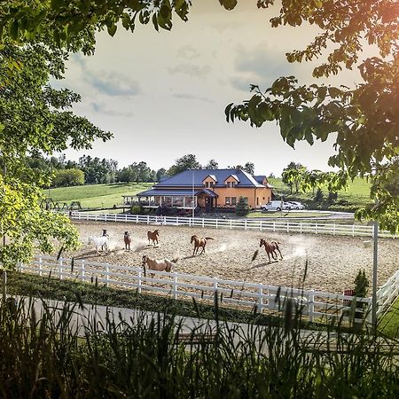 Hotel Horse Riding - Jezdecky Areal Tršice Εξωτερικό φωτογραφία