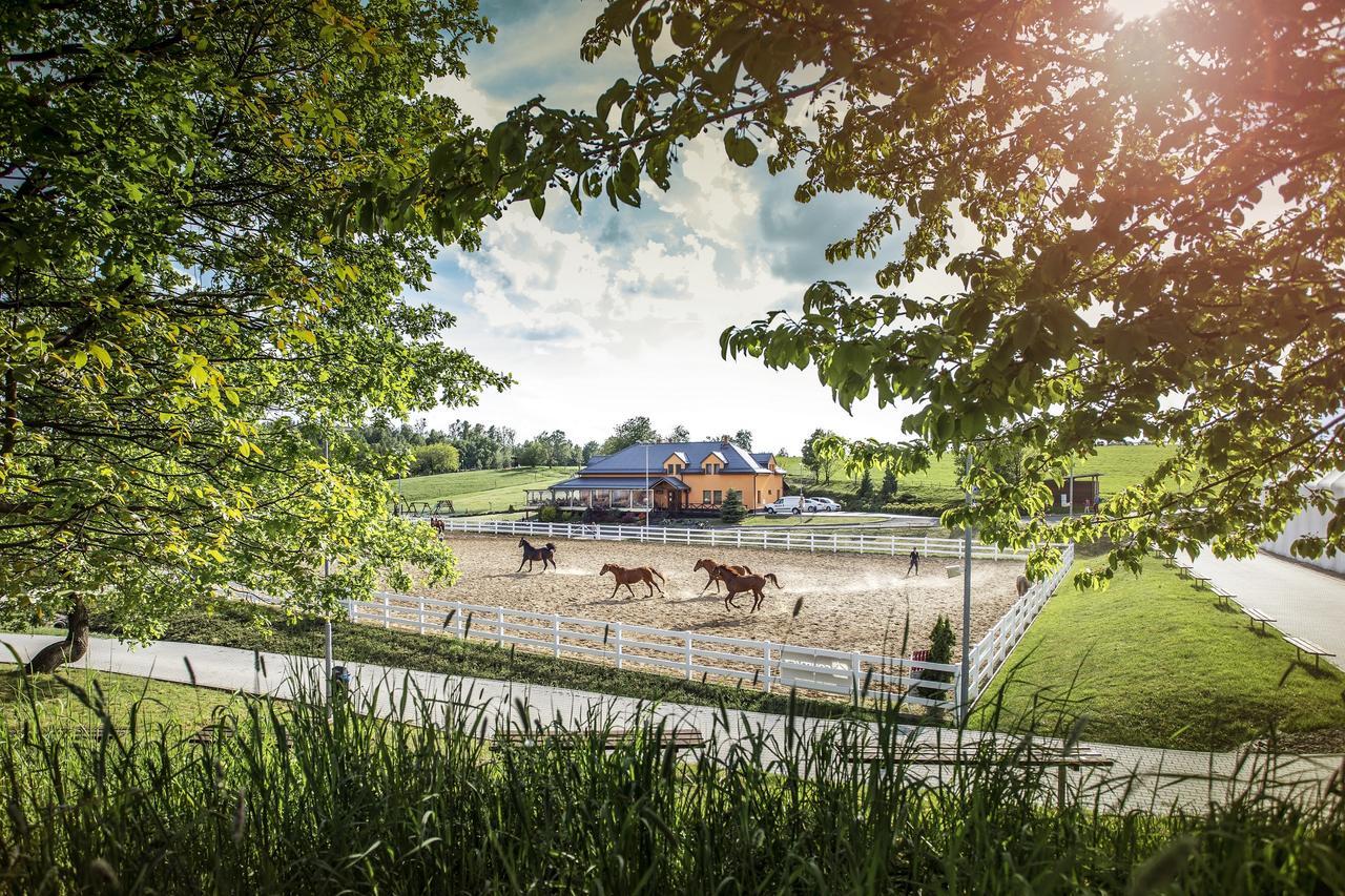 Hotel Horse Riding - Jezdecky Areal Tršice Εξωτερικό φωτογραφία
