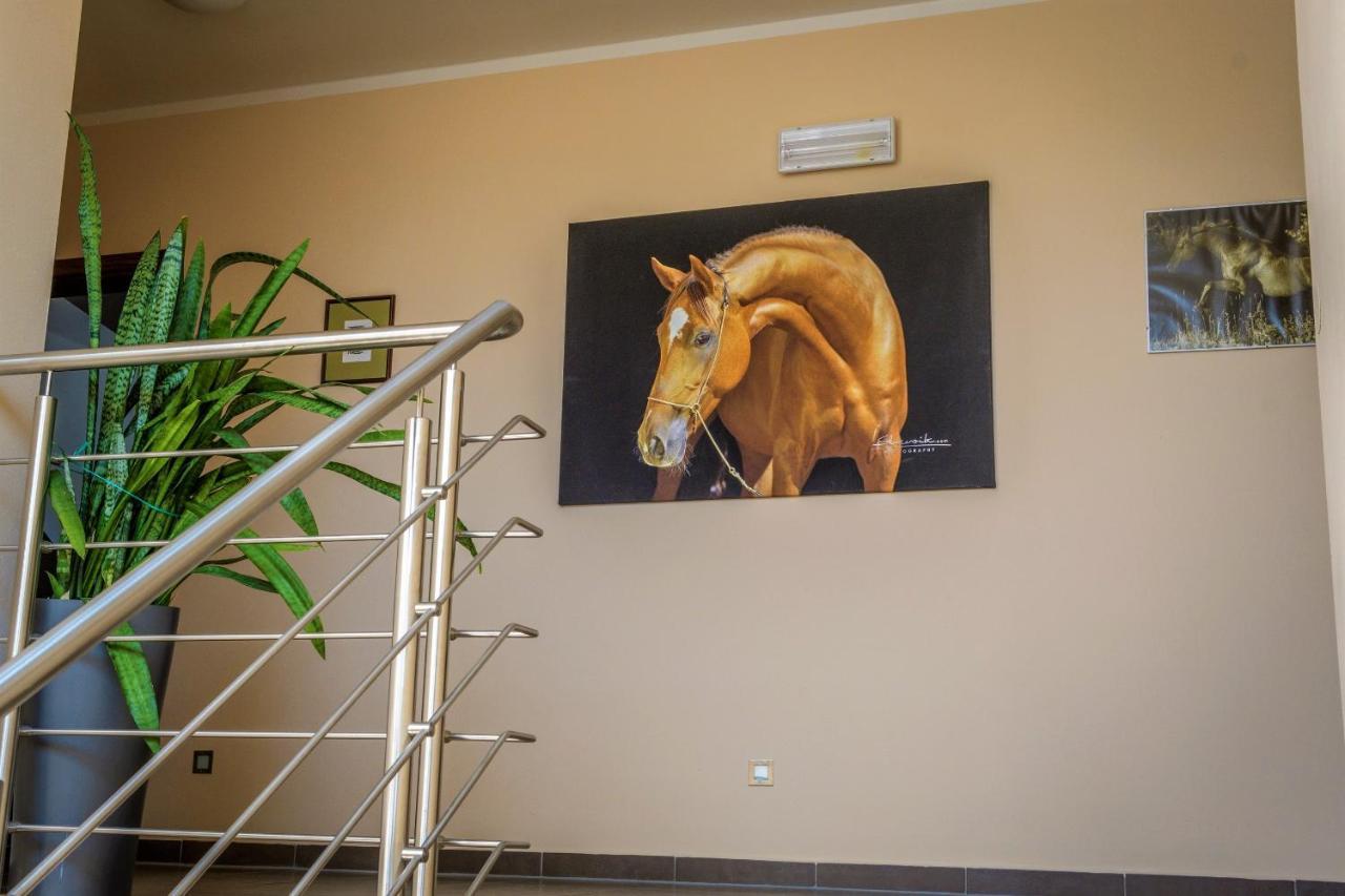 Hotel Horse Riding - Jezdecky Areal Tršice Εξωτερικό φωτογραφία