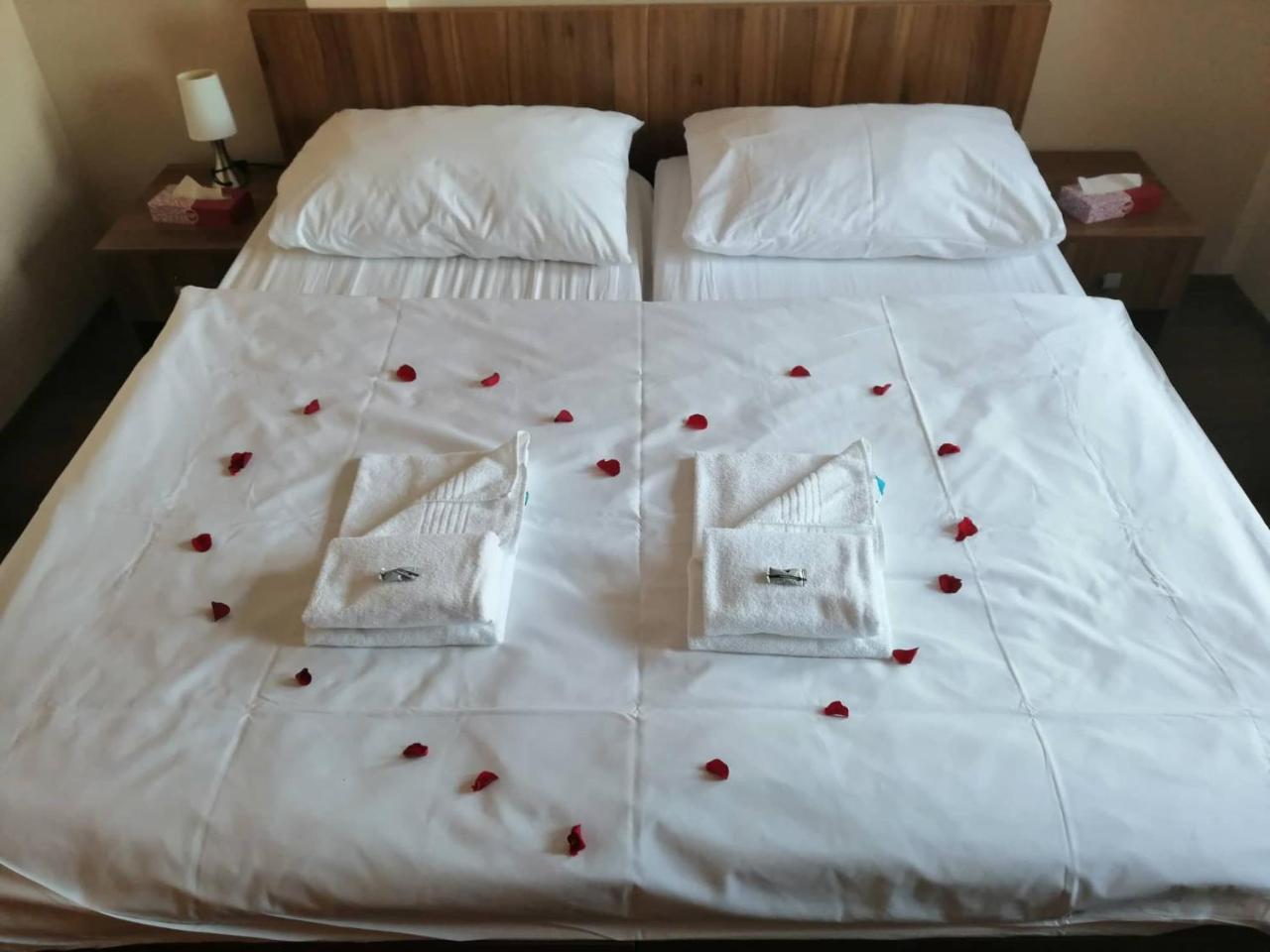 Hotel Horse Riding - Jezdecky Areal Tršice Εξωτερικό φωτογραφία